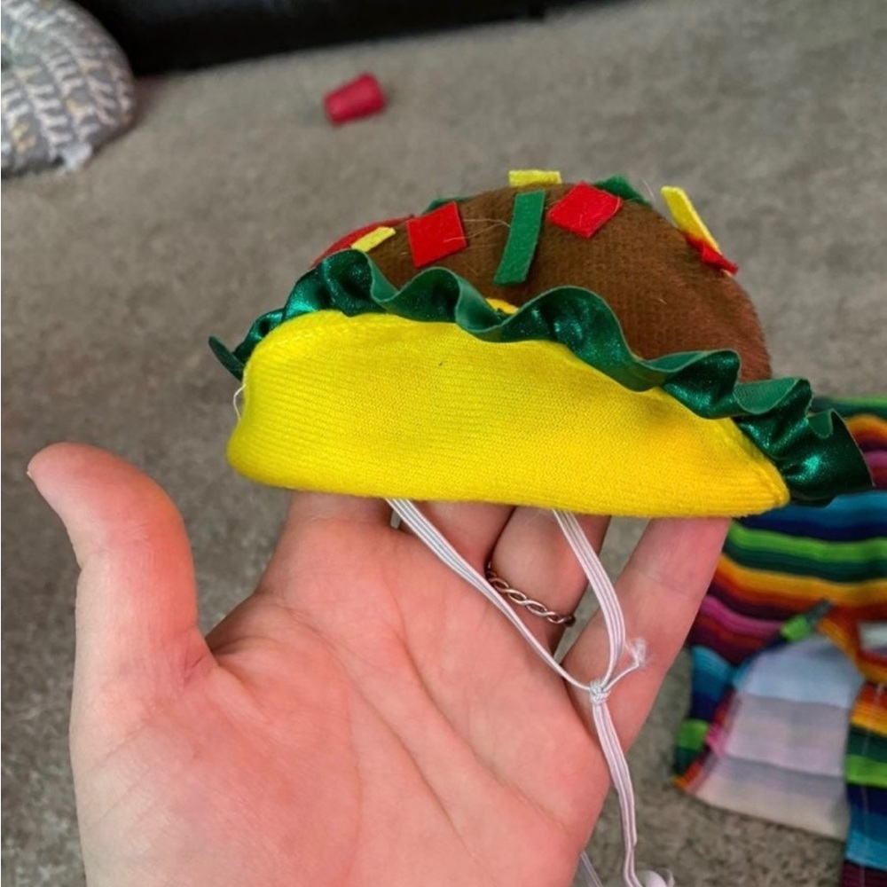 Taco pet Halloween costume - Picture 3 of 7